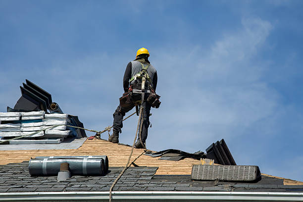 Professional Roof Repair technician working in Stoneham, CO